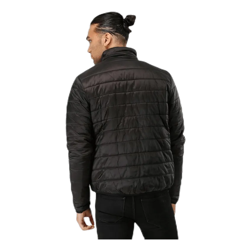 Calgary  Black