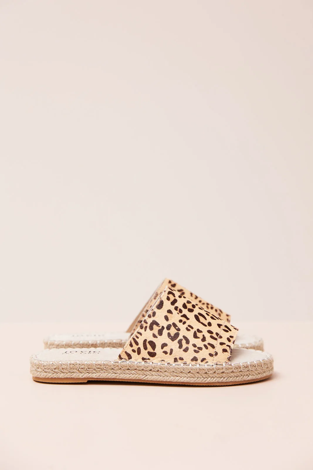 Chloe - Leopard
